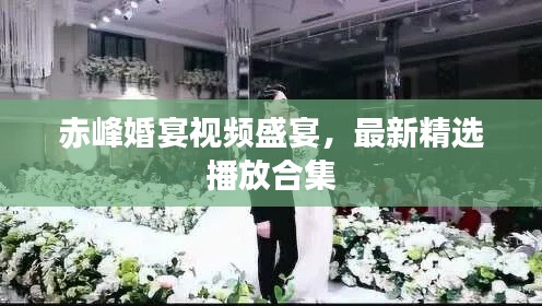 赤峰婚宴視頻盛宴，最新精選播放合集