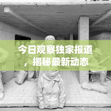 今日觀察獨家報道，揭秘最新動態(tài)