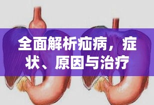 全面解析疝病，癥狀、原因與治療策略專題探討