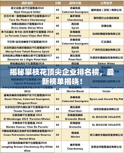 揭秘攀枝花頂尖企業(yè)排名榜，最新榜單揭曉！