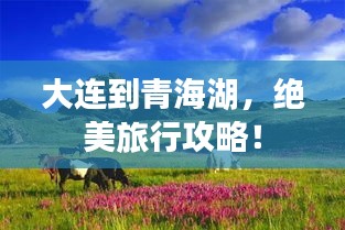 大連到青海湖，絕美旅行攻略！
