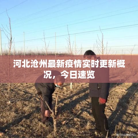 河北滄州最新疫情實時更新概況，今日速覽
