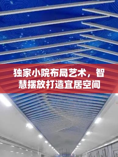 獨家小院布局藝術，智慧擺放打造宜居空間