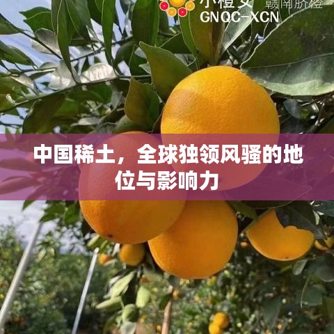 中國稀土，全球獨領(lǐng)風(fēng)騷的地位與影響力