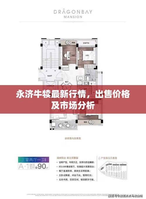永濟牛犢最新行情，出售價格及市場分析