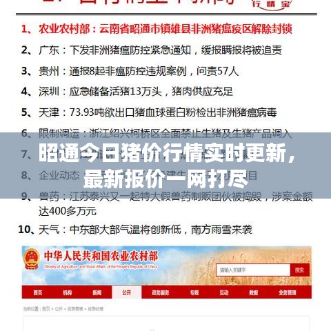 昭通今日豬價(jià)行情實(shí)時(shí)更新，最新報(bào)價(jià)一網(wǎng)打盡