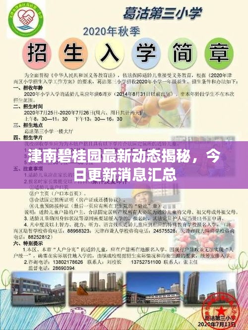 津南碧桂園最新動態(tài)揭秘，今日更新消息匯總