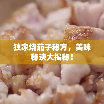 獨(dú)家燒茄子秘方，美味秘訣大揭秘！