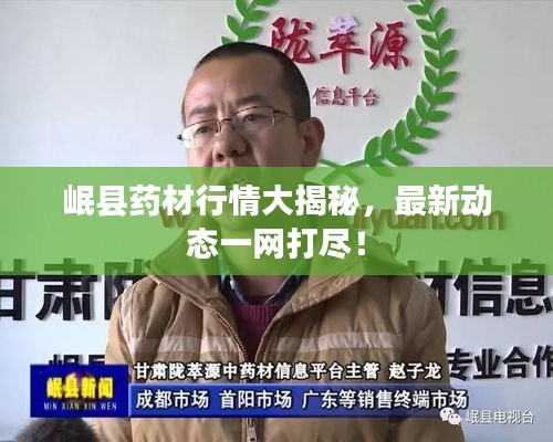 岷縣藥材行情大揭秘，最新動(dòng)態(tài)一網(wǎng)打盡！