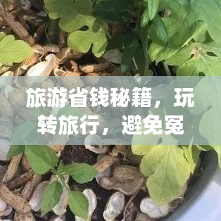 旅游省錢秘籍，玩轉(zhuǎn)旅行，避免冤枉錢支出攻略！