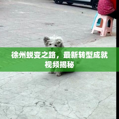 徐州蛻變之路，最新轉(zhuǎn)型成就視頻揭秘