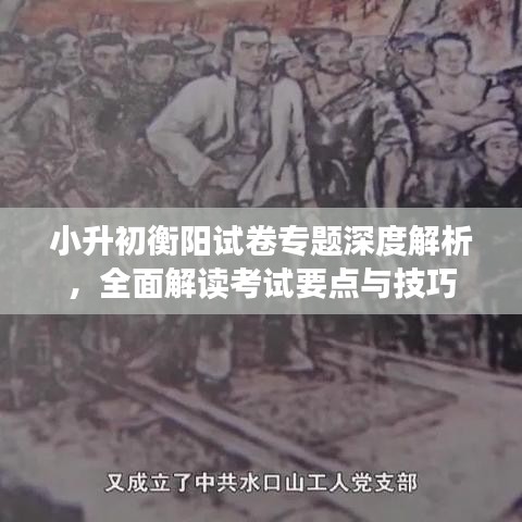 小升初衡陽(yáng)試卷專(zhuān)題深度解析，全面解讀考試要點(diǎn)與技巧