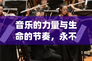 音樂的力量與生命的節(jié)奏，永不斷的琴弦之魅力