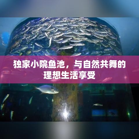 獨家小院魚池，與自然共舞的理想生活享受