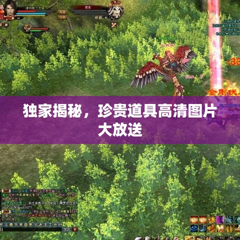 獨(dú)家揭秘，珍貴道具高清圖片大放送