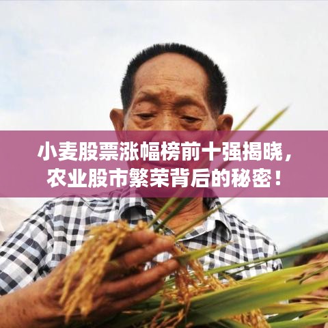 小麥股票漲幅榜前十強(qiáng)揭曉，農(nóng)業(yè)股市繁榮背后的秘密！