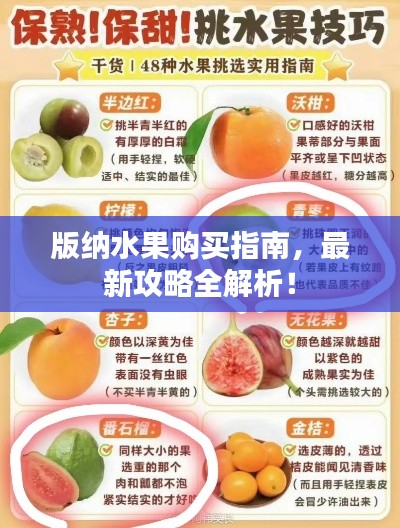 版納水果購買指南，最新攻略全解析！