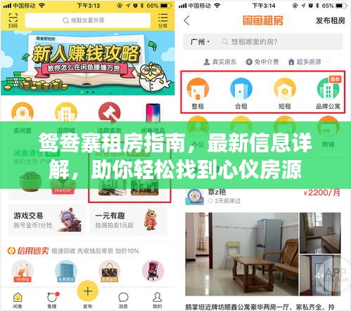 鴛鴦?wù)夥恐改?，最新信息詳解，助你輕松找到心儀房源