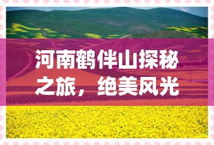 河南鶴伴山探秘之旅，絕美風(fēng)光與深度體驗(yàn)攻略