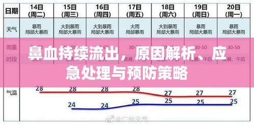 鼻血持續(xù)流出，原因解析、應(yīng)急處理與預(yù)防策略
