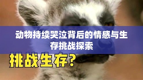 2025年6月 第61頁