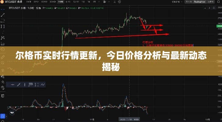 爾格幣實(shí)時(shí)行情更新，今日價(jià)格分析與最新動(dòng)態(tài)揭秘