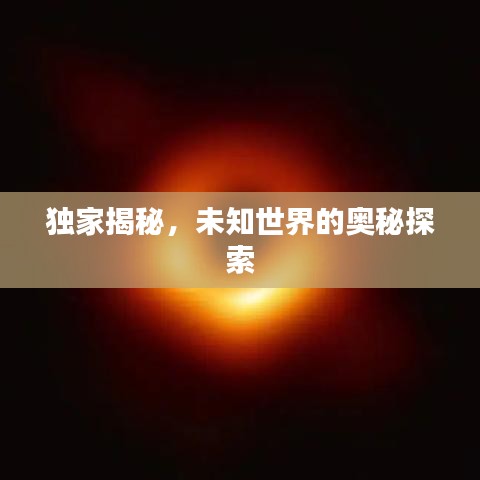 獨(dú)家揭秘，未知世界的奧秘探索