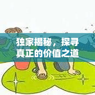 獨家揭秘，探尋真正的價值之道