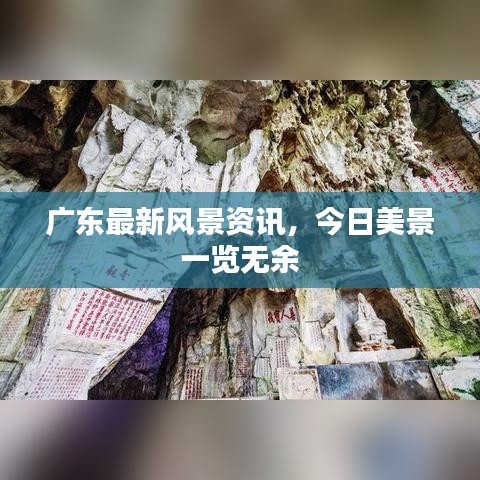 廣東最新風景資訊，今日美景一覽無余