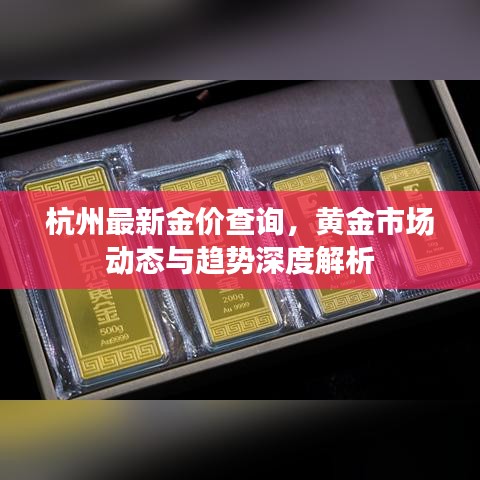 杭州最新金價查詢，黃金市場動態(tài)與趨勢深度解析
