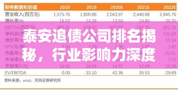 泰安追債公司排名揭秘，行業(yè)影響力深度解析