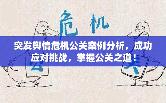 突發(fā)輿情危機(jī)公關(guān)案例分析，成功應(yīng)對(duì)挑戰(zhàn)，掌握公關(guān)之道！