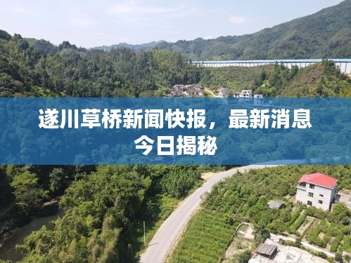 遂川草橋新聞快報，最新消息今日揭秘