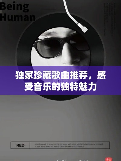 獨家珍藏歌曲推薦，感受音樂的獨特魅力