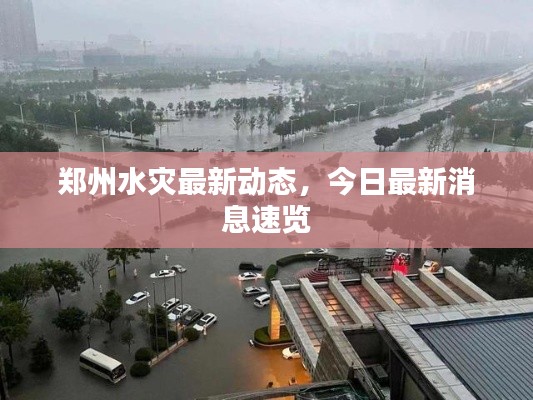 鄭州水災最新動態(tài)，今日最新消息速覽