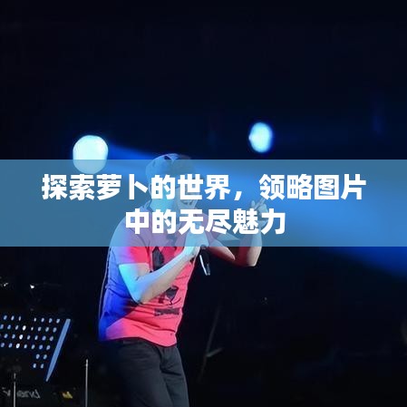 探索蘿卜的世界，領(lǐng)略圖片中的無(wú)盡魅力