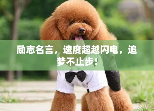 勵(lì)志名言，速度超越閃電，追夢(mèng)不止步！
