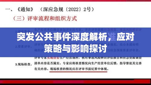 突發(fā)公共事件深度解析，應(yīng)對策略與影響探討