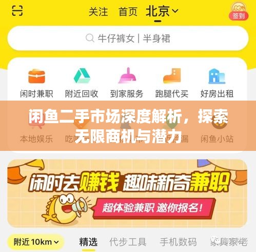 閑魚二手市場深度解析，探索無限商機與潛力