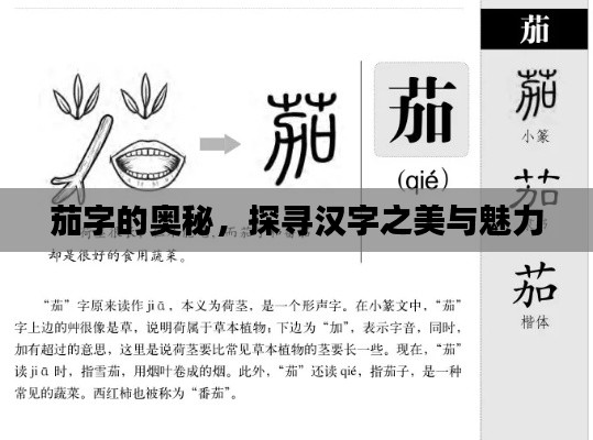茄字的奧秘，探尋漢字之美與魅力