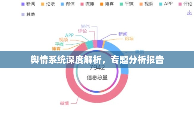 輿情系統(tǒng)深度解析，專題分析報告