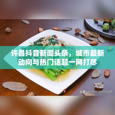 許昌抖音新聞?lì)^條，城市最新動(dòng)向與熱門話題一網(wǎng)打盡