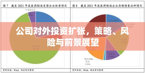 公司對(duì)外投資擴(kuò)張，策略、風(fēng)險(xiǎn)與前景展望