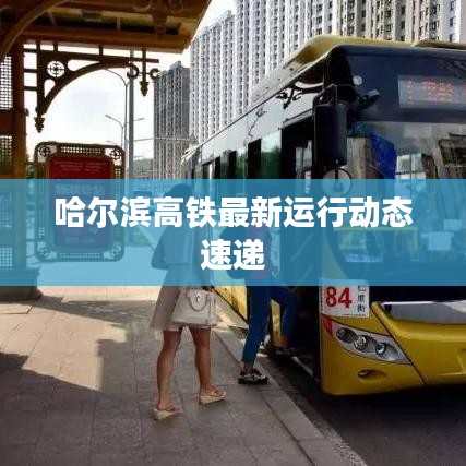 哈爾濱高鐵最新運行動態(tài)速遞
