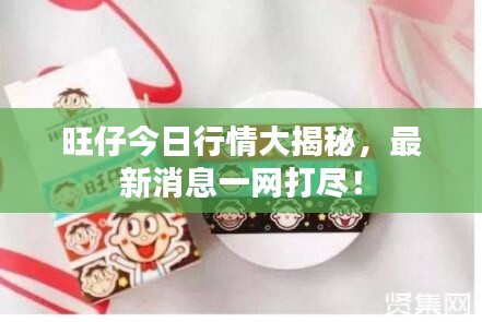 旺仔今日行情大揭秘，最新消息一網(wǎng)打盡！