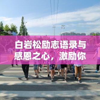 白巖松勵志語錄與感恩之心，激勵你前行的力量之源